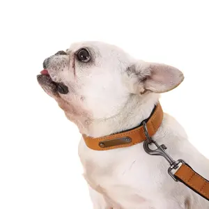 Groothandel Luxe Pu Lederen Hondenhalsband Met Bijpassende Riem Voor Huisdieren