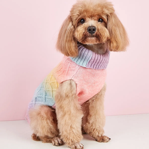Nuevo producto gran oferta colección <span class=keywords><strong>de</strong></span> Navidad al por mayor <span class=keywords><strong>ropa</strong></span> para perros baile perro gato <span class=keywords><strong>ropa</strong></span> para mascotas <span class=keywords><strong>ropa</strong></span> para perros - Product Image 4