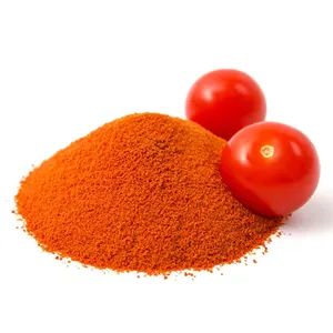 Poudre de tomate séchée par pulvérisation de saveur de nourriture d'approvisionnement en vrac de 20KG/CTN pour boire