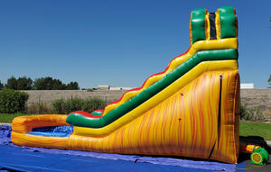 <span class=keywords><strong>Toboggan</strong></span> aquatique <span class=keywords><strong>gonflable</strong></span> de haute qualité <span class=keywords><strong>avec</strong></span> <span class=keywords><strong>piscine</strong></span> - Product Image 4