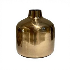 Pot de fleurs moderne et robuste en fer, écologique, plaqué or brillant pour une longue durée de vie, pour l'intérieur, l'extérieur, le jardin et la présentation de plantes à la maison - Product Image 1