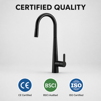 Robinet de cuisine monocommande noir mat avec bec long pivotant, mitigeur moderne sans plomb, économie d'eau, résistant à la rouille