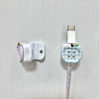 Protector de Cable de Carga USB de Acrílico con Diseño de Frutas de Dibujos Animados Personalizado, Cubierta Antirrotura para Cable, Organizador de Cables para Teléfono, Ideal para Regalo