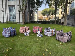 Siège de voiture multifonctionnel de luxe pour chien, lit de voyage, siège surélevé pour animaux de compagnie en extérieur, tissu imperméable, forme rectangulaire, sac de transport solide pour chien - Product Image 5