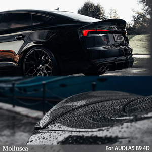 สปอยเลอร์หลังคาร์บอนไฟเบอร์ทรงสปอร์ตแบ็ค สำหรับ A5 S5 RS5 B9 4 ประตู ปี 2016-2025 - Product Image 6