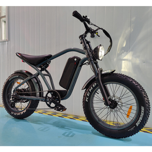 Bicicleta de Montaña Vintage con Suspensión Completa y Neumáticos Anchos, 20 Pulgadas, Bicicleta Eléctrica Todoterreno con Batería de Litio en el Buje Trasero de 48V, Fat Boy Ma - Product Image 1