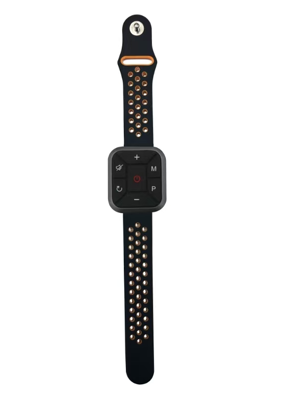 Watch remote control
