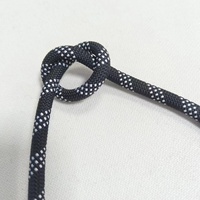 Corde d'escalade en nylon tressé Corde de laisse de chien en polyester Corde statique en nylon haute résistance extérieure 8mm 10mm 14mm