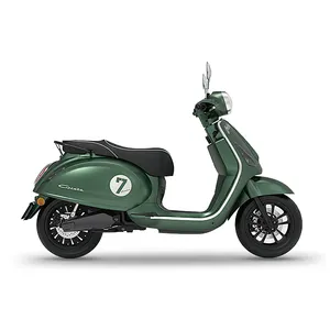 1500w yüksek hızlı çapraz yüksek güç elektrikli motosiklet Scooter Moped yetişkinler