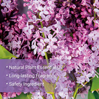 Huile essentielle de lilas naturelle en marque privée pour diffuseur, spa, soins de la peau, bougie parfumée artisanale