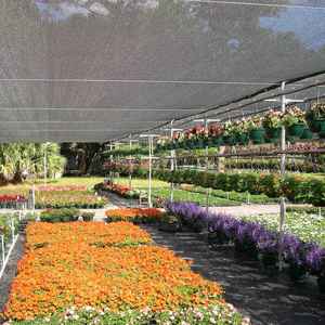 Venta caliente Hdpe Sun Shade <span class=keywords><strong>Net</strong></span> 60% 80% 90% 98% Tasa de sombra Invernadero Shade Cloth Redes verdes para la Agricultura - Product Image 4