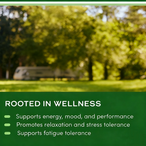 Kapsul <span class=keywords><strong>Maca</strong></span> Label pribadi hitam Plus Energy Ultimate organik terbaik kapsul akar Ekstrak kuat lengkungan ekstrim merah alami - Product Image 6