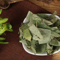 Feuilles d'Epimedium Aphrodisiaque pour Hommes