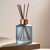 Diffuseurs à roseaux conçus pour l'aromatisation de la maison, offrant une diffusion d'arôme stable et un attrait décoratif moderne