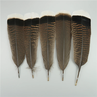 10 pièces/sac plumes d'aigle naturelles pour artisanat Plume coiffure accessoires vacances décoration carnaval plume bricolage artisanat décor