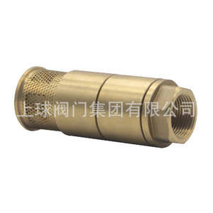 Válvula de Retención de Cobre Up The Ball AL1023966174 con Revestimiento de Goma para Productos Petrolíferos, Tipo de Cierre Lento - Product Image 1