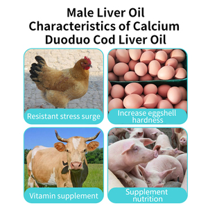 Cao hiệu lực 500g cá gan dầu premix <span class=keywords><strong>vitamin</strong></span> <span class=keywords><strong>D3</strong></span> cho gia cầm chăn nuôi cải thiện canxi hấp thụ chất lượng trứng thức ăn chất phụ gia - Product Image 2