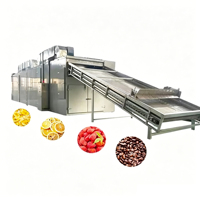 Séchoir à bande maillée automatique continu, machine de déshydratation alimentaire à tunnel pour la transformation industrielle des fruits et légumes