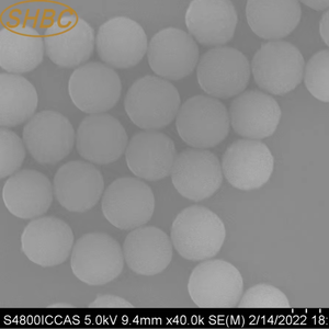 Perlas Magnéticas Recubiertas de Tosil de Alta Calidad con Cinética de Reacción Rápida para Inmunoprecipitación y Bioconjugación - Product Image 2
