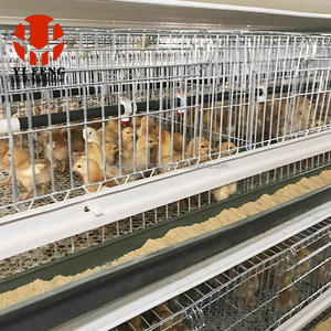 Tavuk A tipi tavuk kafesi katman kafes tavuk ev ekipmanları için horoz kafesi - Product Image 1