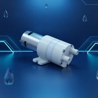 Micro pompe à eau DC 24V avec longueur de câble personnalisable haute pression et support OEM Mini pompe à membrane liquide