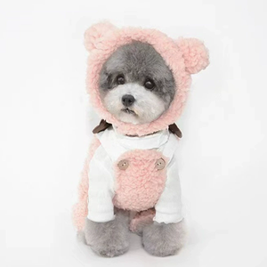 Vente en gros de couvre-chefs pour chats, casquette mignonne avec oreilles d'ours pour chats, chapeau en peluche chaud pour animaux de compagnie - Product Image 4