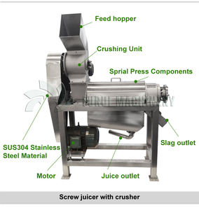 Küçük ölçekli meyve mango elma suyu yapma pancar zencefil sıkacağı çıkarma makinesi suyu üretim çıkarıcı yapma makinesi fiyat - Product Image 5