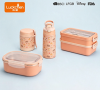 Isolierte Essensbehälter- und Lunchbox-Set mit Wasserflasche, Edelstahl-Thermo-Kinder-Lunchkit mit integriertem Löffel, kompakt und tragbar