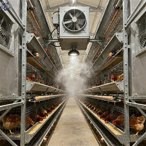 Struktur peternakan baja ringan prefabrikasi Shed dengan desain galvanis untuk lokakarya ayam ternak domba menggunakan pemasangan cepat - Product Image 5