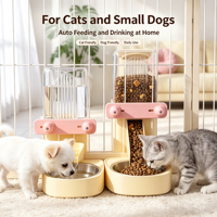 Ensemble distributeur automatique de nourriture et d'eau pour animaux de compagnie, alimentation par gravité, grande capacité, outil d'alimentation pour chats et petits chiens