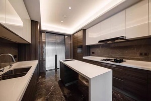 Mobili da Cucina di Alta Qualità, Design Moderno, Modulari, Impermeabili, Ignifughi, Personalizzati in Pannelli di Melamina per Lavello e Cassetti Scorrevoli - Product Image 3