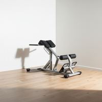Chaise romaine commerciale en métal pour fitness, réglable et pliable, pour l'extension du dos et l'entraînement du dos.