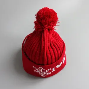 RPET مخصص شعار وصفت مهرجان سميكة الصوف الصوف القطن محبوك قبعة صوفية لفصل الشتاء قبعة عيد الميلاد قبعة مع بوم بوم