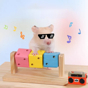 Einfarbig Golden Bear Nest Holz Multifunktion ale umwelt freundliche süße klassische Cartoon Spielzeug Set Hamster Fun <span class=keywords><strong>Cube</strong></span> Pet Chew - Product Image 6