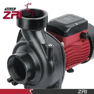 ZRI MPPT Controller 2/3/4 Inch 3 Hp Solar Pumps For Agriculture Solar Surface Water Pump System
