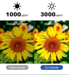 Dấu Hiệu Kỹ Thuật Số Ngoài Trời Không Thấm Nước Quảng Cáo Màn Hình LCD Độ Phân Giải Cao 2500 Nits Hỗ Trợ Kỹ Thuật Video Phụ Tùng Miễn Phí TFT - Product Image 4