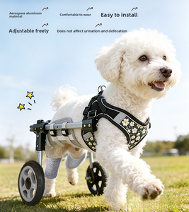 Aide à la mobilité brevetée pour chiens (artères antérieures) - Chariot de rééducation pour animaux de compagnie, <span class=keywords><strong>prix</strong></span> direct usine, pour distributeurs mondiaux - Product Image 1