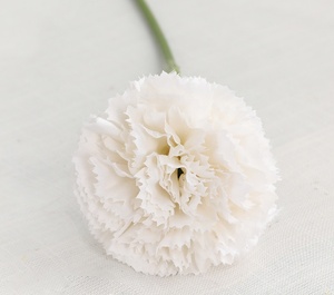 A-1863 <span class=keywords><strong>Fiori</strong></span> Artificiali <span class=keywords><strong>di</strong></span> Garofano a Stelo Singolo in Seta Bianca, Rossa e Rosa per Decorazioni Domestiche e Festa della Mamma - Product Image 5