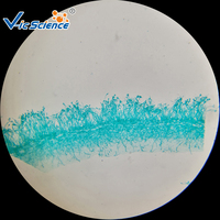 Ensembles de lames de spécimen en verre de microscope scolaire pour les projets d'éducation en zoologie et en histologie de l'entomologie botanique