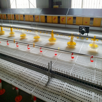 Kit complet de ligne d'abreuvement pour volailles avec tuyau carré, système d'abreuvement par pipettes pour poules pondeuses