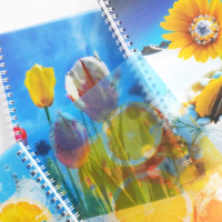 Carnet de notes à double spirale avec logo personnalisé Agenda format A5 couverture PP semi-transparente pour l'école ou le journal