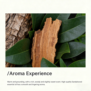 Dầu thơm tinh dầu đàn hương tự nhiên Dầu <span class=keywords><strong>massage</strong></span> lãng mạn |   Hỗ trợ số lượng đặt hàng tối thiểu thấp, tùy chỉnh, sản phẩm chăm sóc da mặt dịu nhẹ cho nữ - Product Image 3