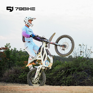 Motocicleta Todoterreno Eléctrica 79Bike Falcon <span class=keywords><strong>GT</strong></span> 72V 40Ah, 16.8KW 610Nm IP67, Motocross para Adultos - Product Image 6