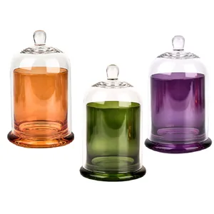 Vela iridescente única frascos recipientes vela luxo com Gift Box 8Pz vidro vela cloche jar