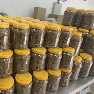 الديدان الصفراء المجففة لنمو العضلات النمس وجبة خفيفة عالية البروتين علاج بالجملة - Product Image 1