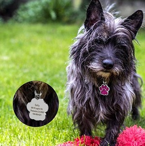 Tasarım kendi marka özel yumuşak emaye epoksi kedi köpek tasmaları etiketi Charm Pet kimlik etiketi kolye Qr kodu ile - Product Image 5