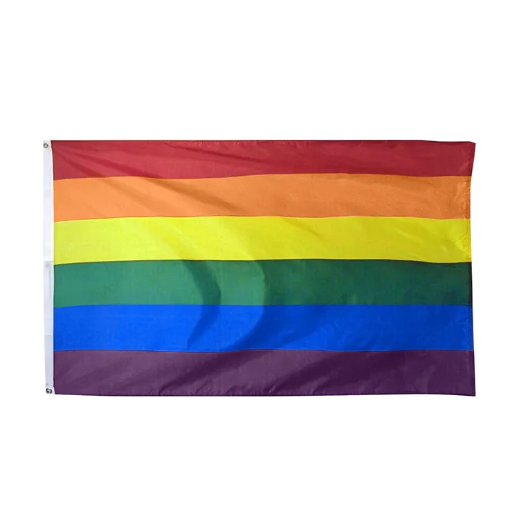 Goedkope Lgbt Regenboog Gay Pride Vlag Bondgenoot 3x5ft 100% Polyester Met 2 Doorvoertules