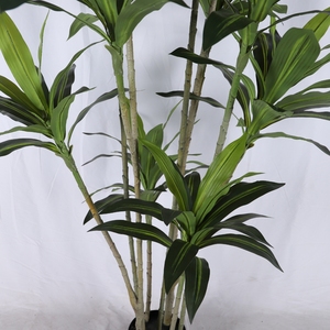 Brasil Lucky Tub Plant Artificial Four Seasons Green Plastic Plant Desktop Brazilwood Tree Forest Dracaena <span class=keywords><strong>Bonsai</strong></span> Plante - Product Image 2