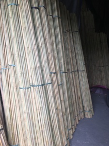 Bán buôn tre tự nhiên gậy cực/Cổ phần tonkin tre - Product Image 4