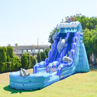 Toboggan aquatique gonflable commercial pour enfants et adultes, grand château gonflable pas cher